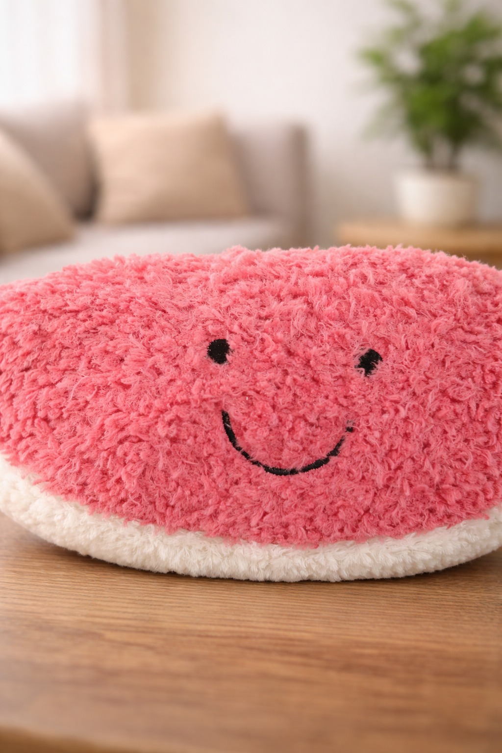 Watermelon Soft toy Handmade