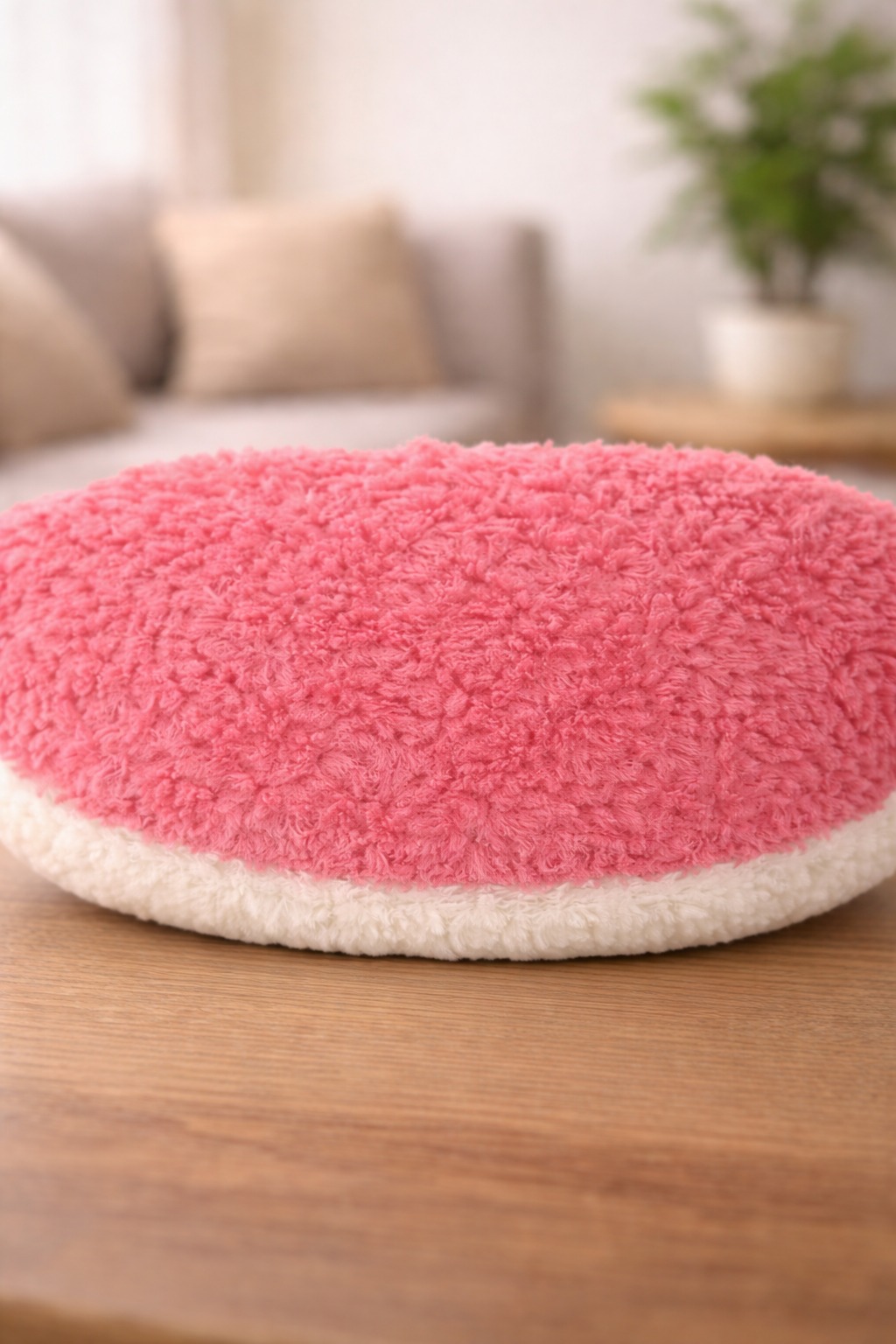 Watermelon Soft toy Handmade back